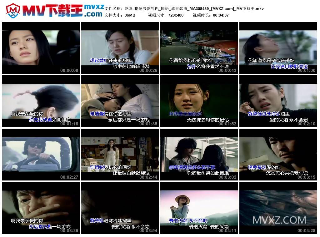 路童-我最深爱的你_国语_流行歌曲_MA308489